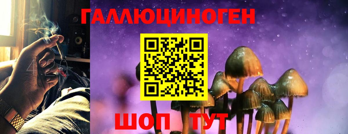 Галлюциногенные грибы MAGIC MUSHROOMS  Галлюциногенные грибы MAGIC MUSHROOMS  Алапаевск 